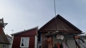 Николаевские голуби на крыше