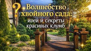 Волшебство хвойного сада: идеи и секреты красивых клумб