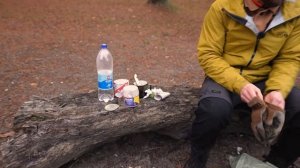 ВЫЖИВАНИЕ 24ч с ИРП от ПОДПИСЧИКОВ в ЛЕСУ