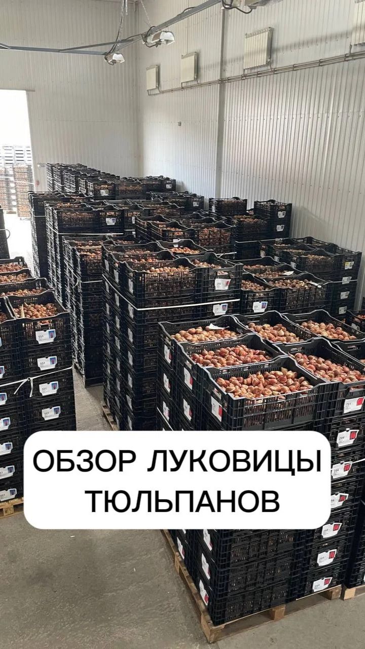 Video-16-03-26-02-22