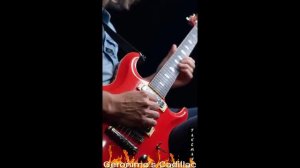 Shorts Geronimo's Cadillac