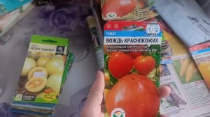 2 ч. коллекция томатов/ выбираю что посеять🤔