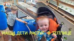 Вообще не ожидали такого! Реалии жизни, всё, как есть так и показываю. Будни в деревне.