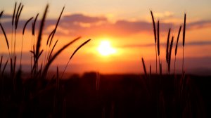 Библия онлайн | Книга Судей, 6 глава