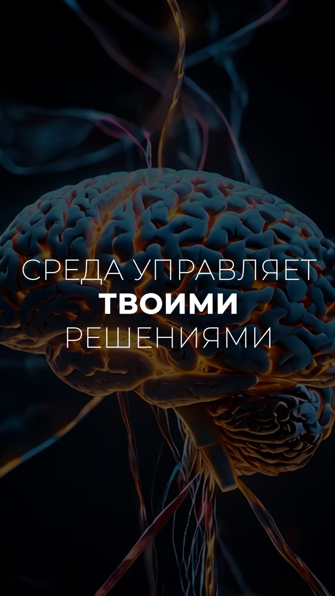 Окружение формирует ваши мысли