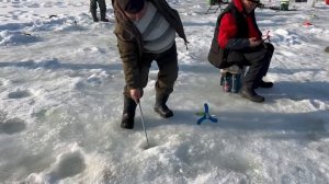 16.03.26г.РК Волна.