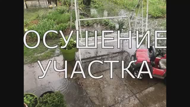 Как осушить участок весной 2026 💧 Что делать, если на участке стоит вода
