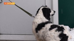 ВЕСНА НЕ СПЕШИТ НА КАМЧАТКУ • БЕЗ КОММЕНТАРИЕВ