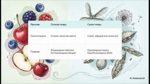 Биология 6 класс параграф 16 ПЛОДЫ краткий пересказ