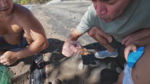 ИСХОД РУССКИХ МУЖИКОВ В ДЖУНГЛИ. Пробуем Заезд на Участок в Тропиках  Поймали Нечто в Океане