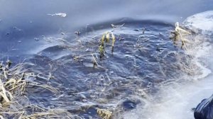 Спиннинг Микроджиг Рыбалка на Микроречке Ловля Окуня и Щуки Ранней Весной