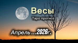 ВЕСЫ ‼️АПРЕЛЬ 2026 таро гороскоп!  #таро #весы