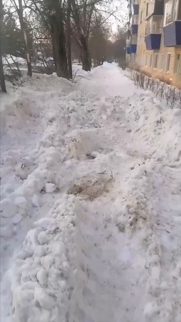 ВСЮ ЗИМУ НЕ УБЕРАЮТ СНЕГ