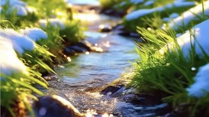 весенние ручьи