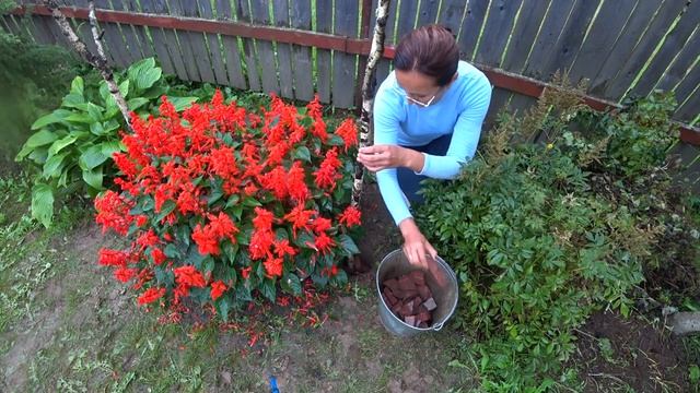 6 соток 12 августа 2021года. Хроника.