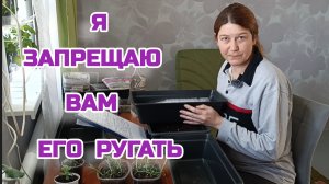 ОТВЕЧАЮ НА ВОПРОСЫ