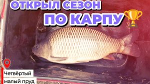 Нижнеподкумский 4-й малый пруд. Открыл сезон по карпу 2026🎣. Ставропольский край
