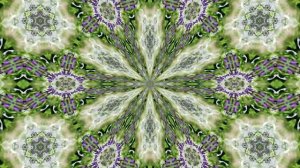 Видеофоны! Видеофон Подснежники 6! Футаж от Киностудии Мудрого Кота Тимофея!