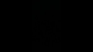 правильно считать если тётя считала себя принцессой, а нашла Шрека, то она не совсем человек?!