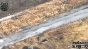 Смертельную обстановку ☠ создали наши бойцы для ВСУ на Краснолиманском направлении