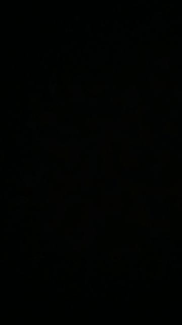 13:37 16.03.26 Шрек и Фиона наш**…гулялись