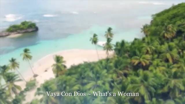 Vaya Con Dios ~ What's a Woman