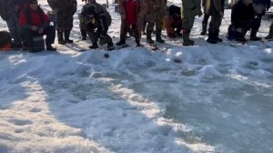 16.03.26 г. РК Волна.