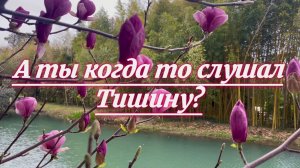 21 марта день поэзии. Эдуард Жолудев, А ты когда-то слушал тишину, читает Ольга Цветцих,