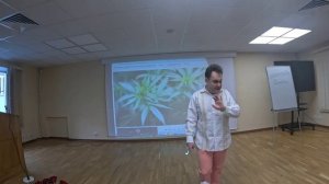 Все про вещества...