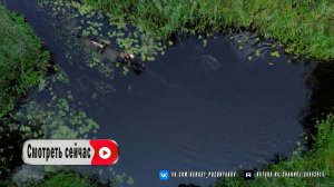 Выживание в одиночестве. Как построить укрытие и приготовить ужин из грибов на острове