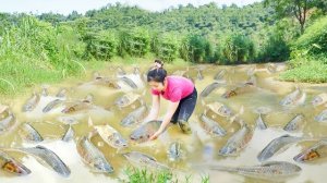 Ловлю рыбу на болоте на продажу. Работаю в огороде. Приближается зима. Серия 32. Хуан Ли