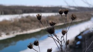 Лёд на Дону