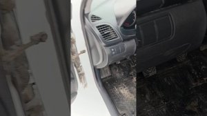 Обзор солярис