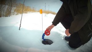 Позитивные весенние ЩУКИ 😃