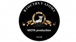 В гостях у Атома «МОТА Production» (Пробная версия).