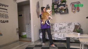 История успеха: бывшие бездомные обитатели улиц покоряют конкурсы