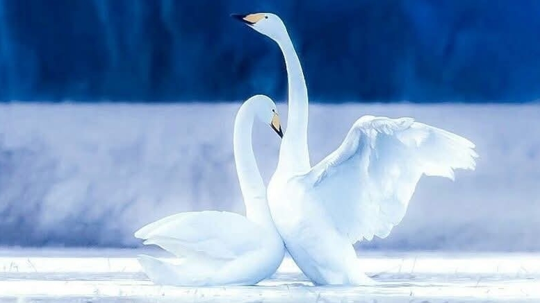 Снег на Небесах?