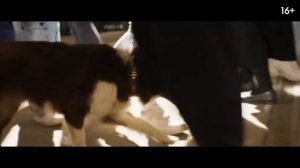 Видео от ЧЕЛЯБИНСК