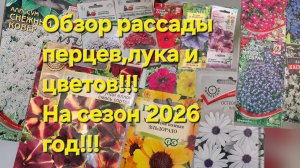 Обзор перцев на обрезку!!!Обзор лука и цветов на сезон 2026 год!!!