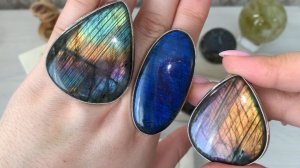 НОВИНКИ. ЛАБРАДОР. НЕЙЗИЛЬБЕР. 16.03..2026 МАХ ,  +79024906222