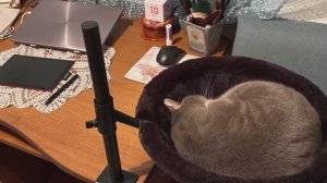 Влог со 2 по 15 марта. Рассада, вязание и красивые волжские пейзажи