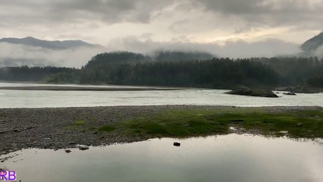 Angelo Taylor - Одинокий ангел