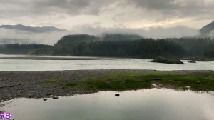 Angelo Taylor - Одинокий ангел