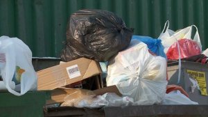 Выпуск № 9 от 13 марта 2026 года