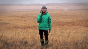 Летающие лошади Пржевальского! Всё как у зверей!