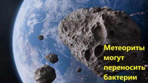 Метеориты могут переносить бактерии