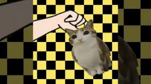 Meowl