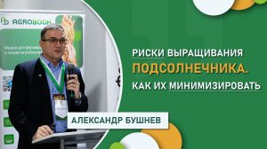 Риски выращивания подсолнечника. Как их минимизировать
