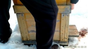 Помощь пчёлам в марте.