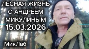 Весна в Лесу. Лесная Жизнь с Андреем Микулиным. Выпуск от 15.03.2026. МикЛаб